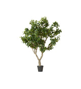 Faux Fiddle Tree - Extra Large - Green