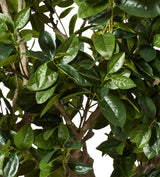 Faux Fiddle Tree - Extra Large - Green