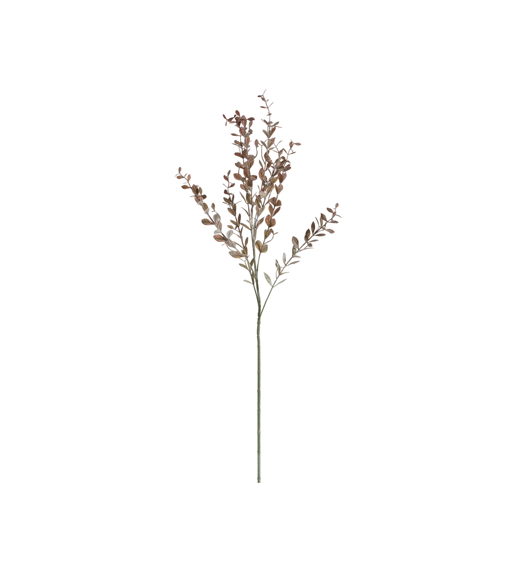 Faux Barberry Branch - Dark Brown/Burgundy