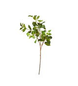 Faux Camellia and Berry Branch - Green