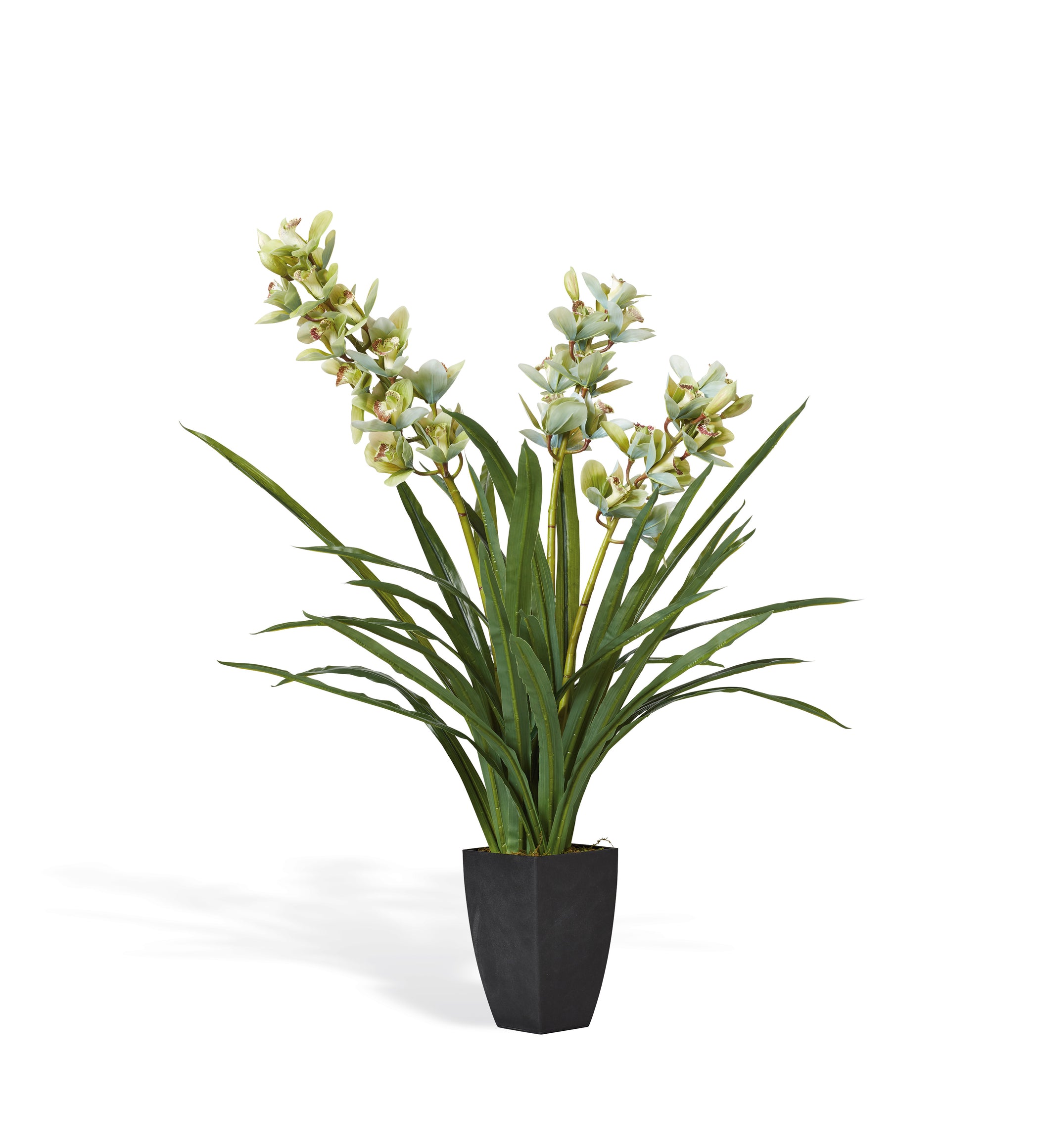 Faux Cymbidium Orchid with Narrow Vase - Green