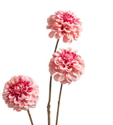 Faux Dahlia Stem - Pink