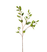 Faux Eucalyptus Stem - Green