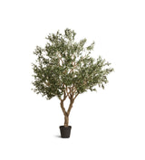 Faux Potted Olive Tree - Extra Large - Black