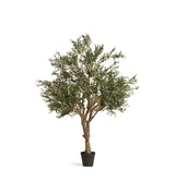 Faux Potted Olive Tree - Extra Large - Black