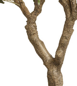 Faux Potted Olive Tree - Extra Large - Black