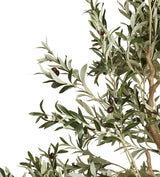 Faux Potted Olive Tree - Extra Large - Black