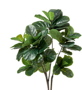 Faux Fiddle Plant - Medium - Green