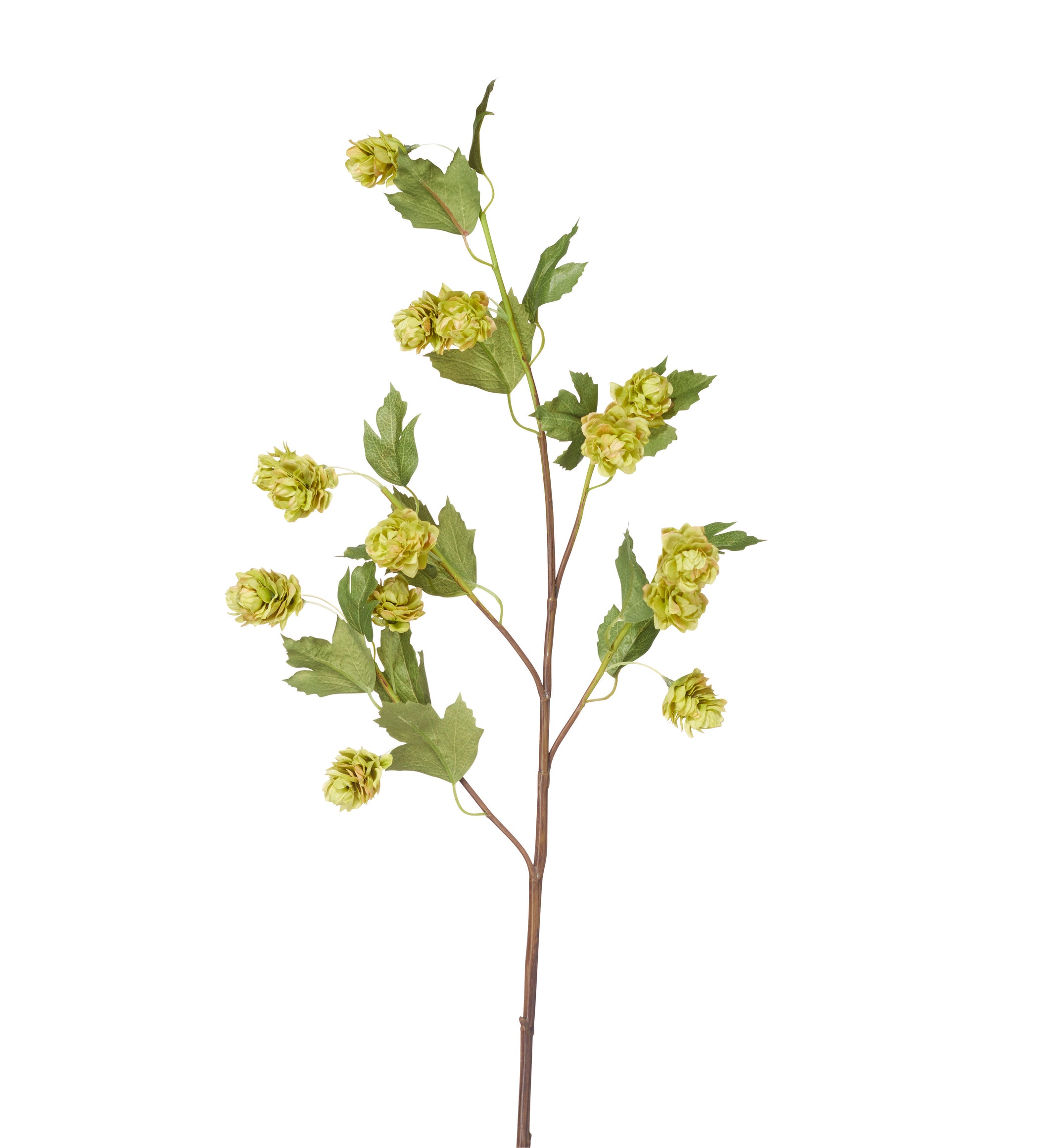 Faux Hop Stem - Green