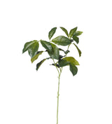 Faux Laurel Leaves Stem - Green
