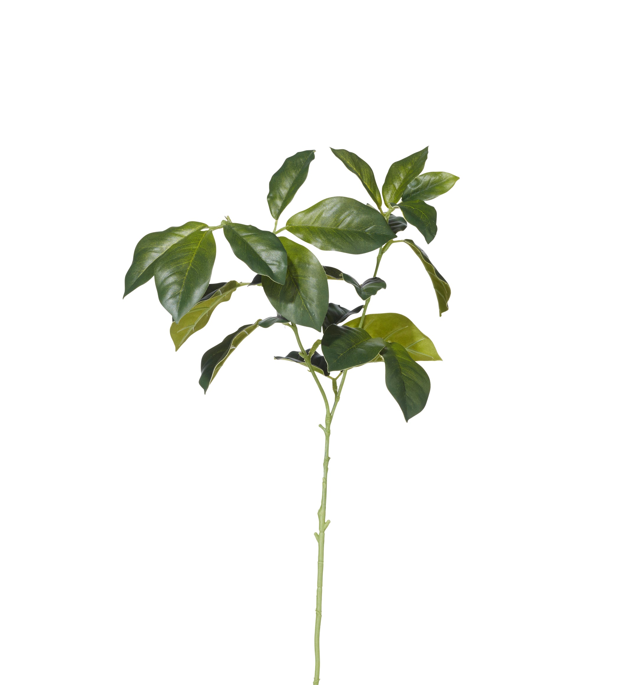 Faux Laurel Leaves Stem - Green