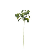 Faux Laurel Leaves Stem - Green