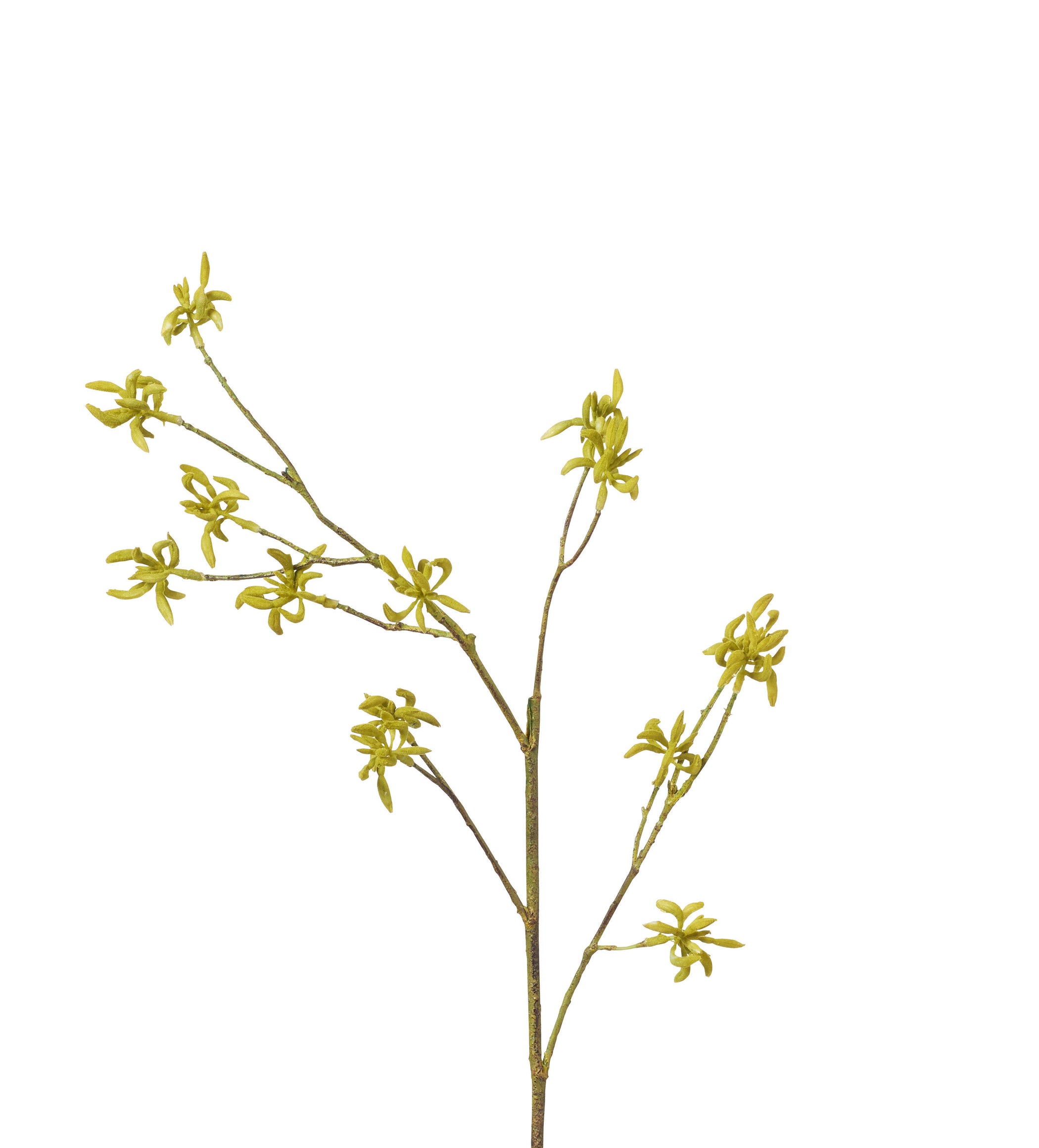 Faux Maple Bud Branch - Green
