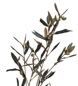 Faux Olive Branch Stem - Green