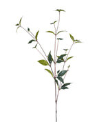 Faux Peony Leaves Stem - Green