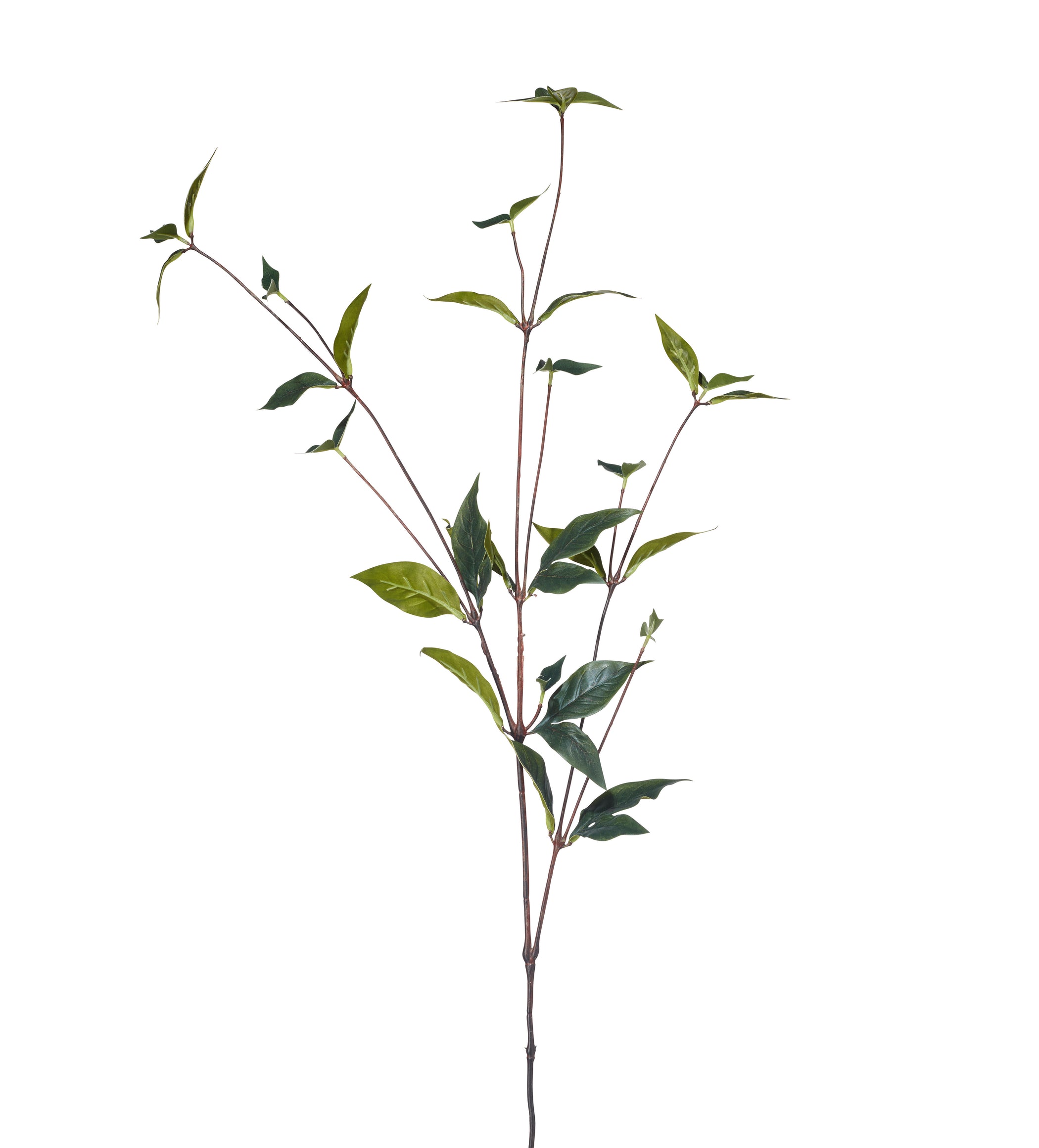 Faux Peony Leaves Stem - Green