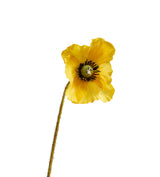 Faux Poppy Stem - Yellow