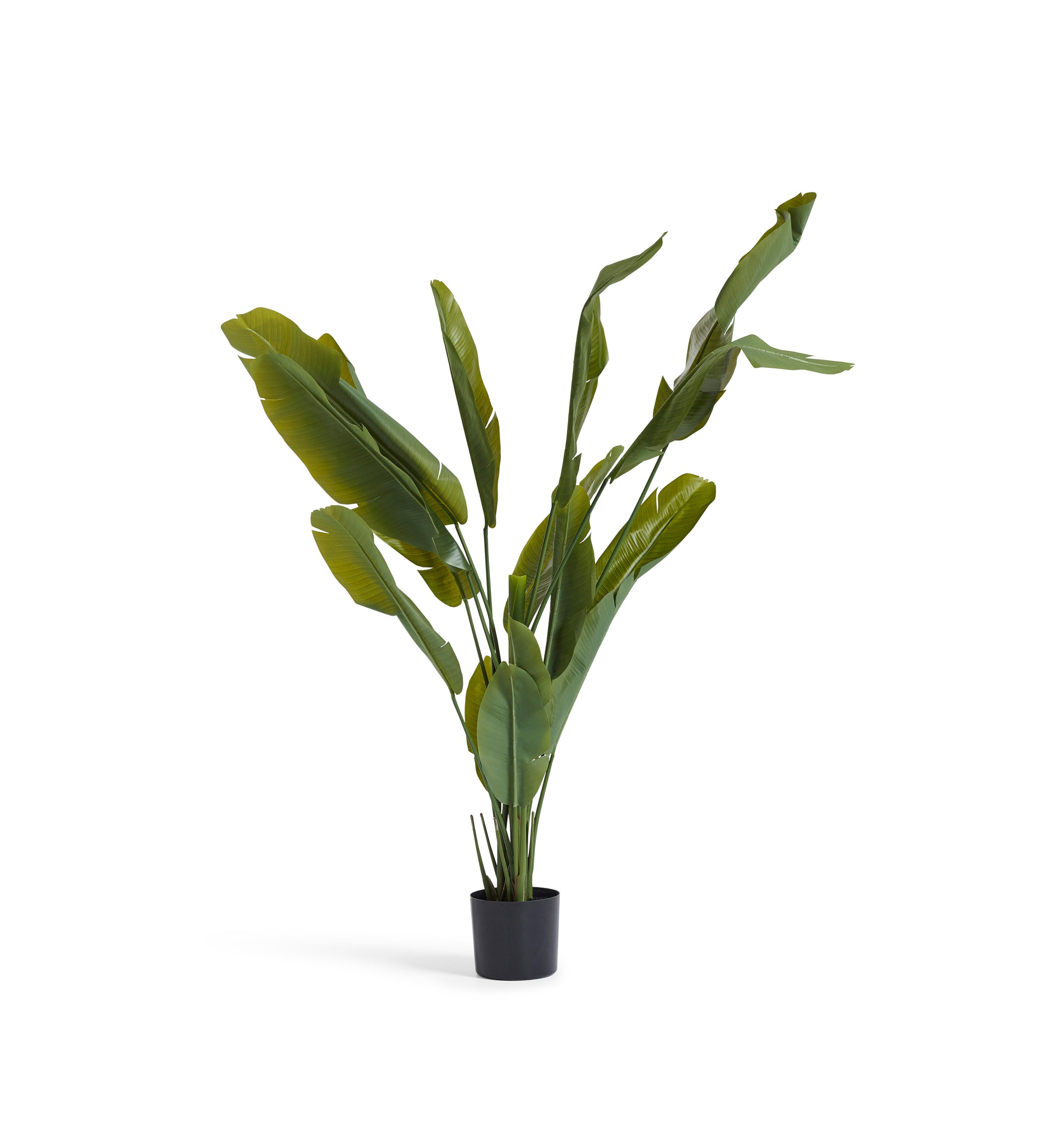 Faux Potted Bird of Paradise - Green
