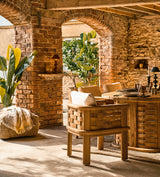 Faux Potted Bird of Paradise - Green