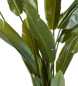 Faux Potted Bird of Paradise - Green