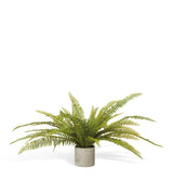 Faux Potted Fern Plant - Green