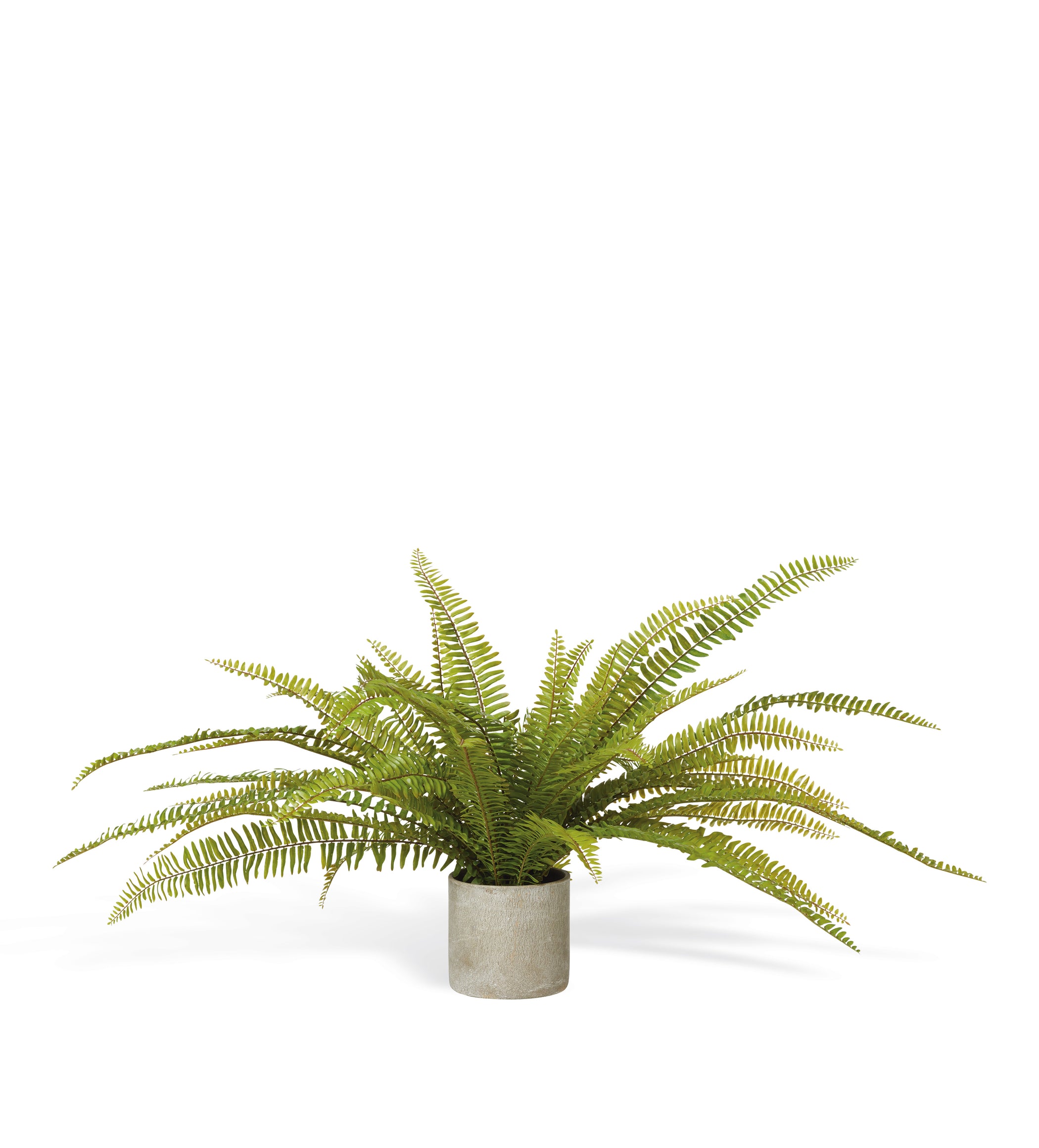 Faux Potted Fern Plant - Green