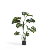 Faux Potted Monstera - Green