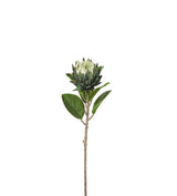 Faux Protea Stem - White