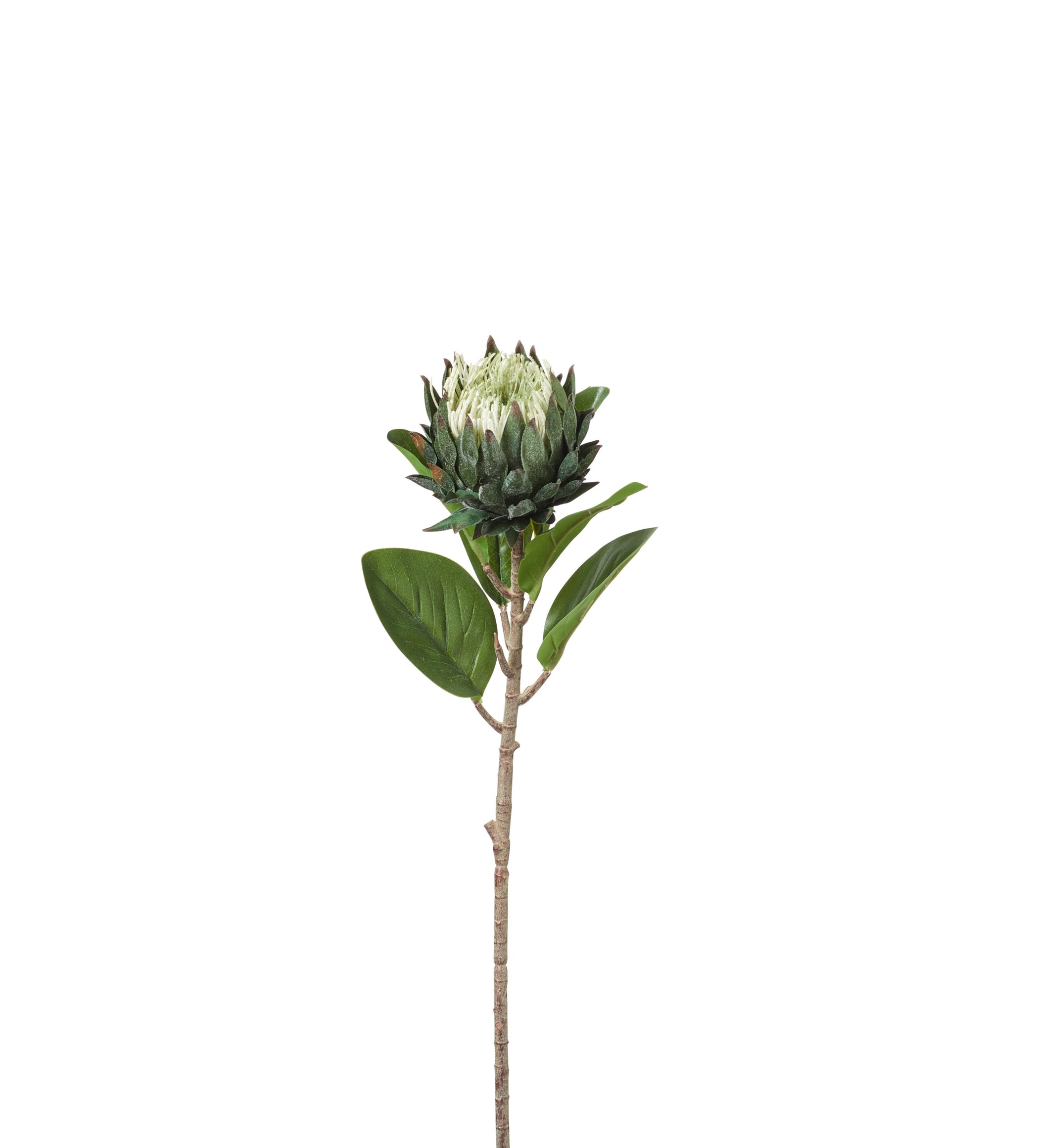 Faux Protea Stem - White