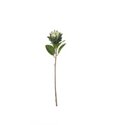 Faux Protea Stem - White