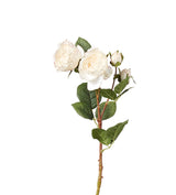 Faux Rose Stem - Flushed Cream