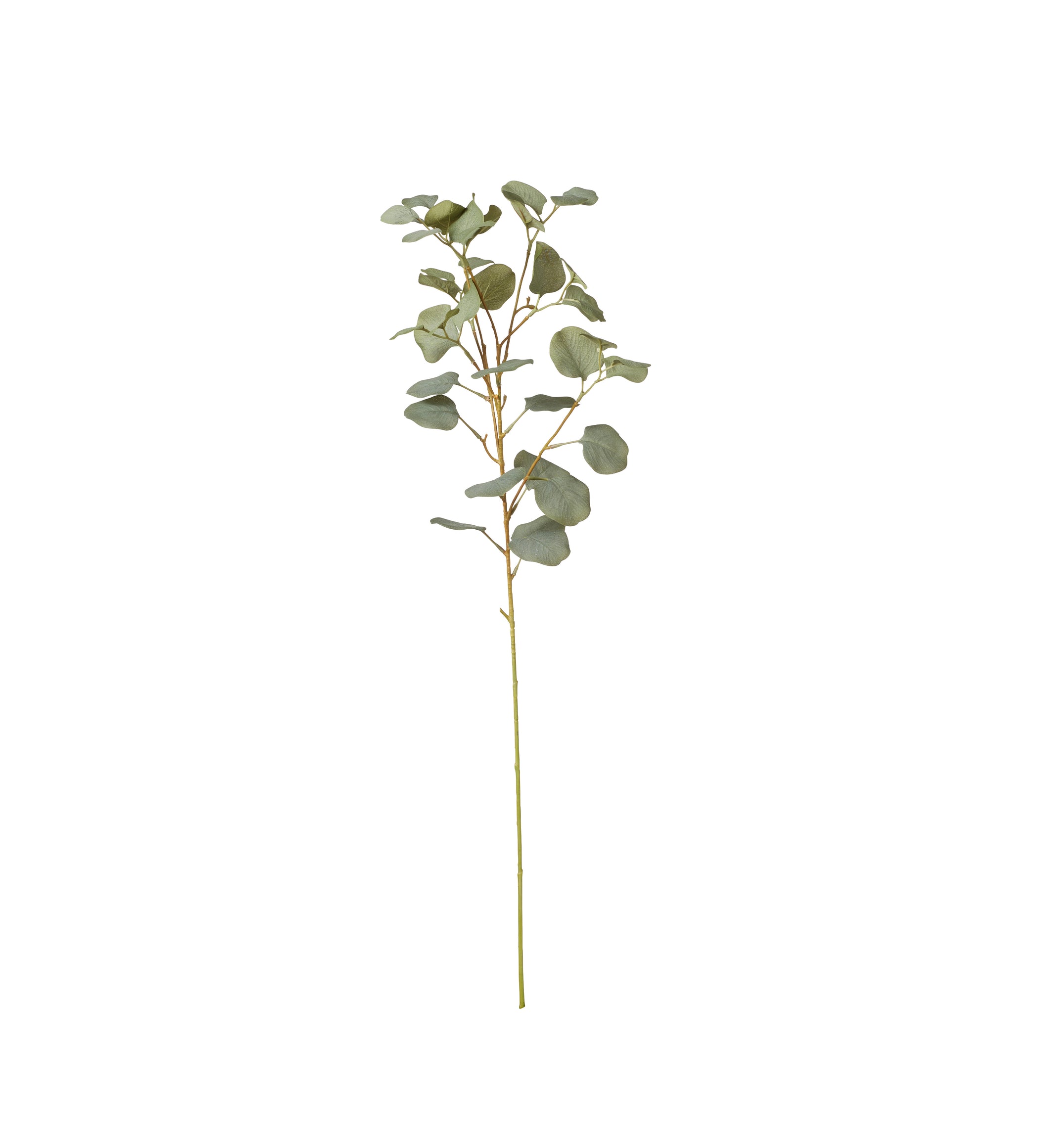 Faux Single Eucalyptus Stem - Pale Green