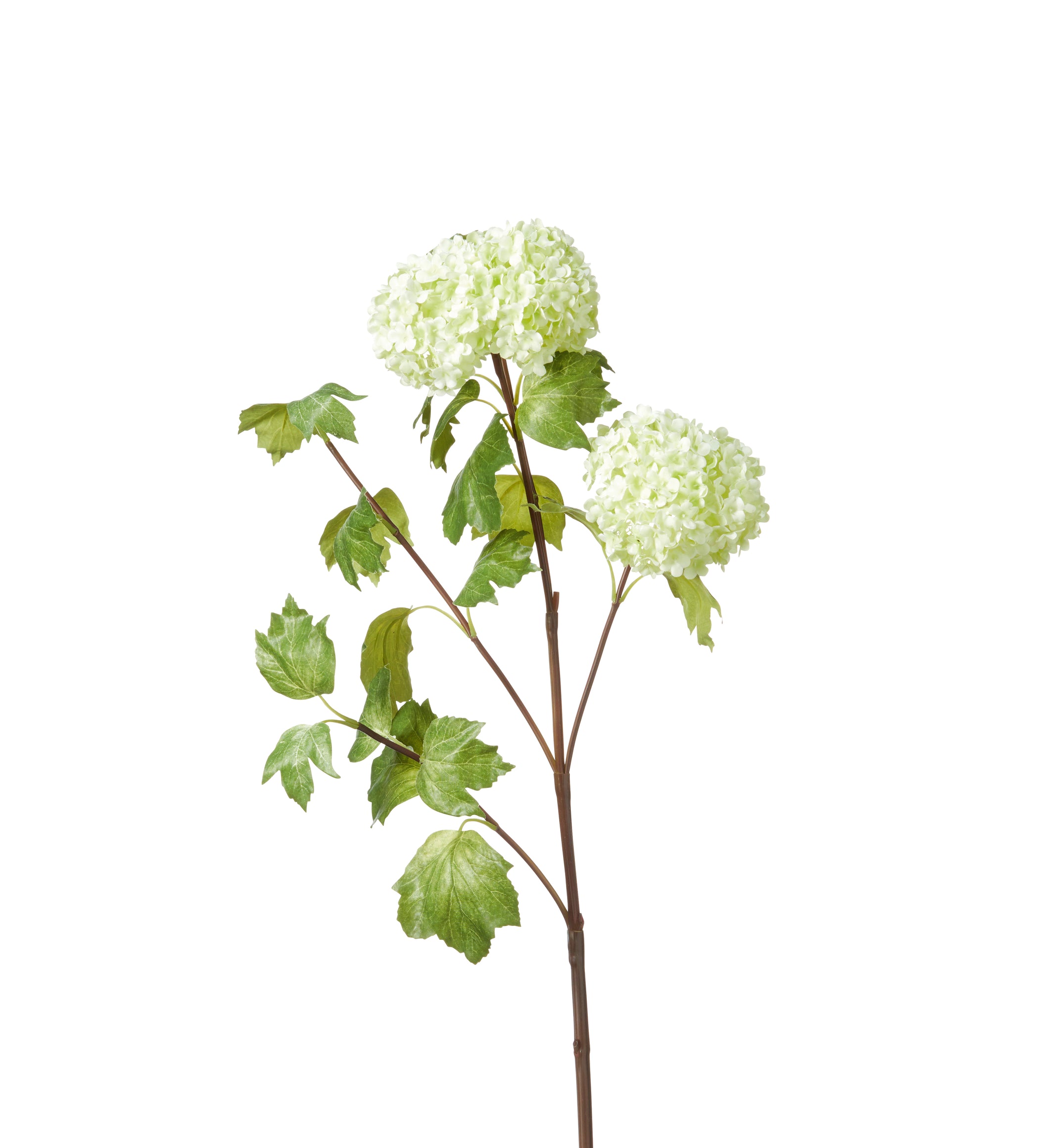 Faux Snowball Viburnum Branch - Green