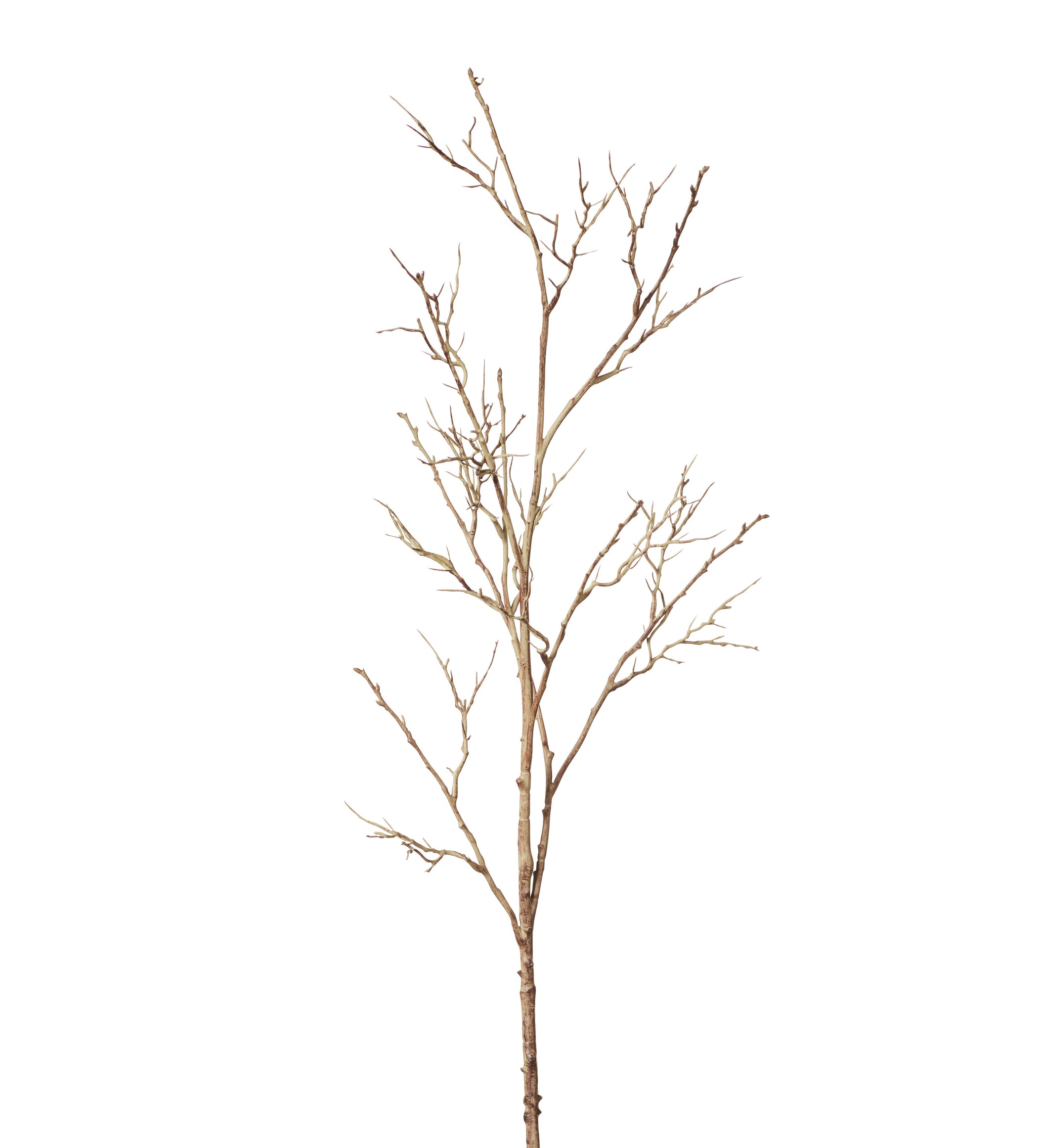 Faux Spiky Twig Branch - Natural