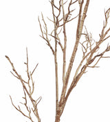 Faux Spiky Twig Branch - Natural