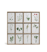 Frame of Pressed Flower Prints - Natural