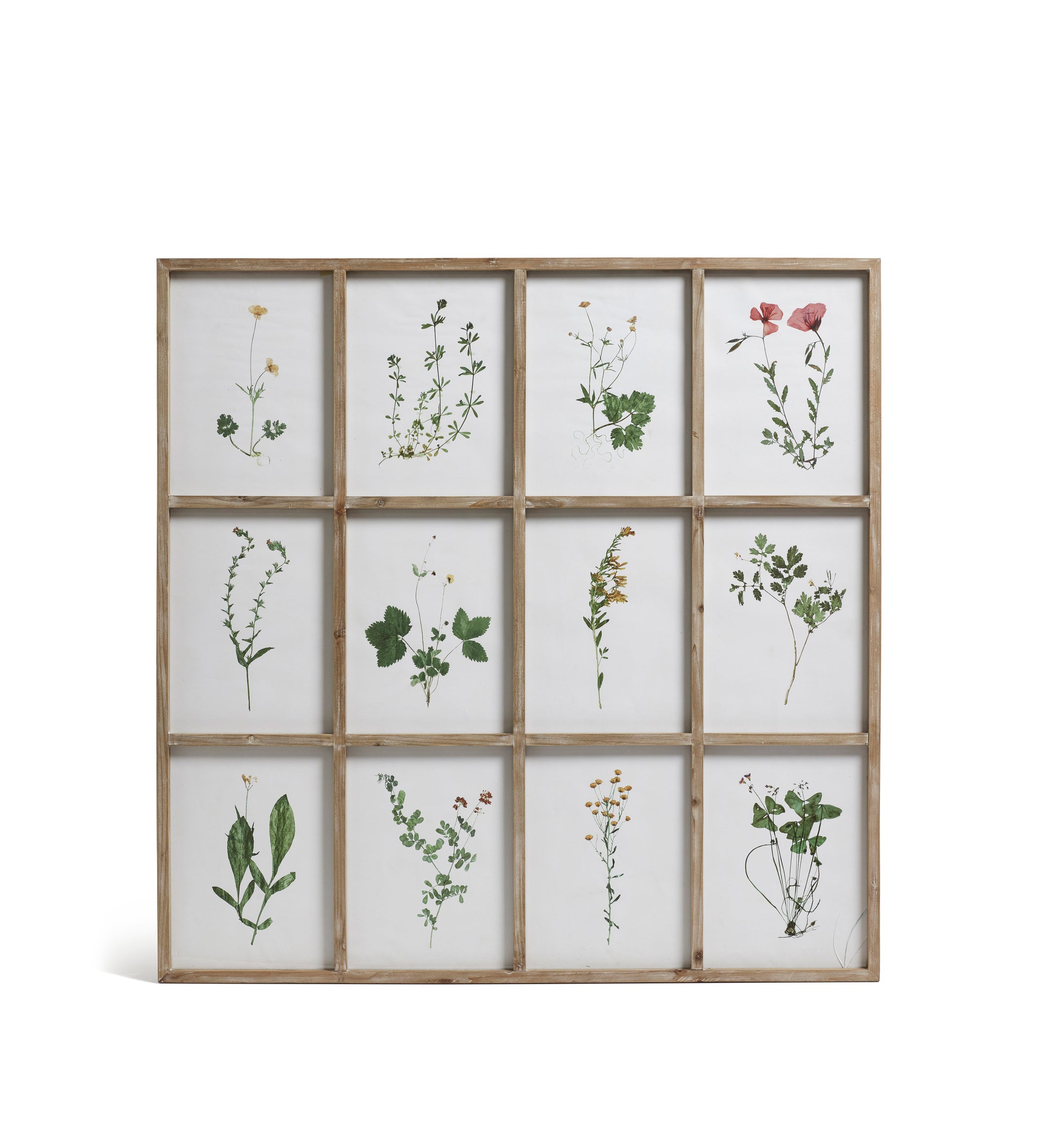 Frame of Pressed Flower Prints - Natural