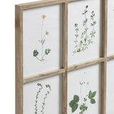 Frame of Pressed Flower Prints - Natural