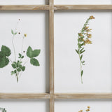 Frame of Pressed Flower Prints - Natural