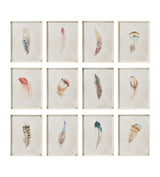 Framed Feather Prints - Set of Twelve - Multi