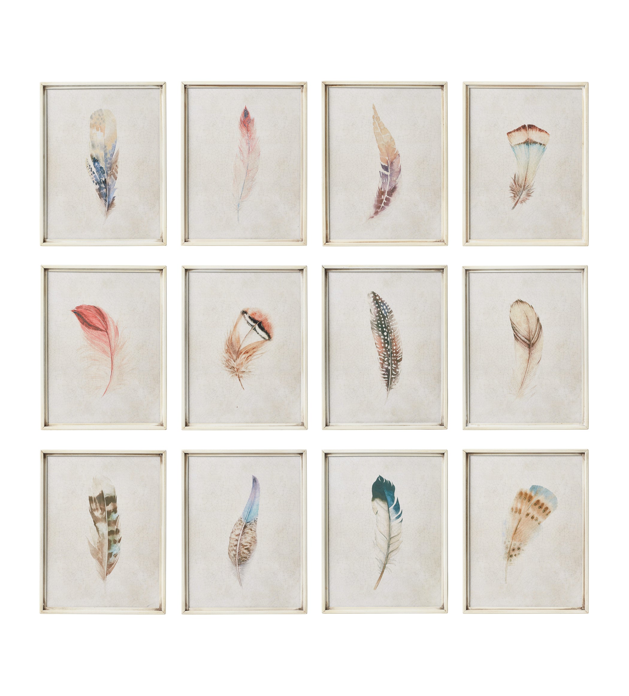 Framed Feather Prints - Set of Twelve - Multi