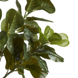 Faux Fiddle Plant - Large - Green