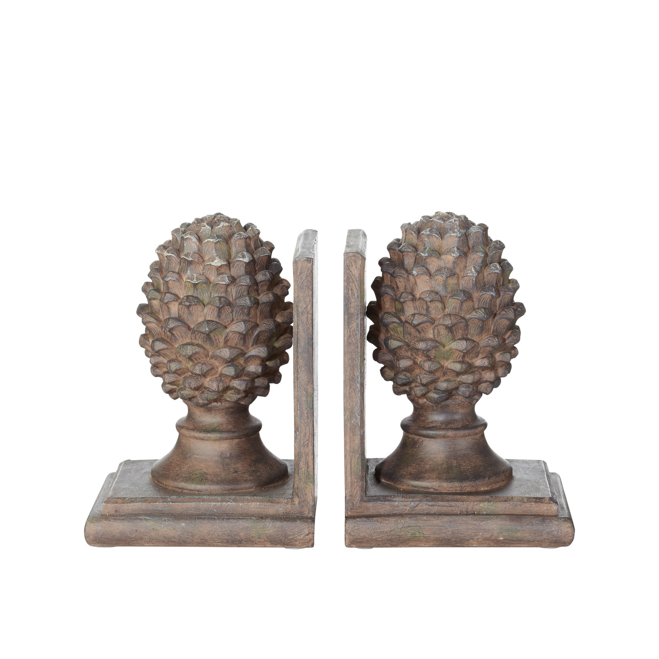 Pinus Bookends Pair - Bronze