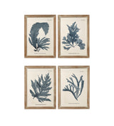 Seaweed Framed Prints - Set of Four - Multi