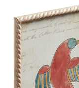 Framed Carara Bird Prints - Set of Four - Multi