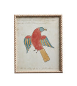 Framed Carara Bird Prints - Set of Four - Multi
