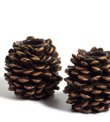 Pine Cone Candle Holders - Small - Set of Four - Small - Brown