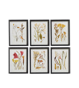 Anna Framed Botanical Prints - Set of Six - Multi