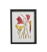 Anna Framed Botanical Prints - Set of Six - Multi