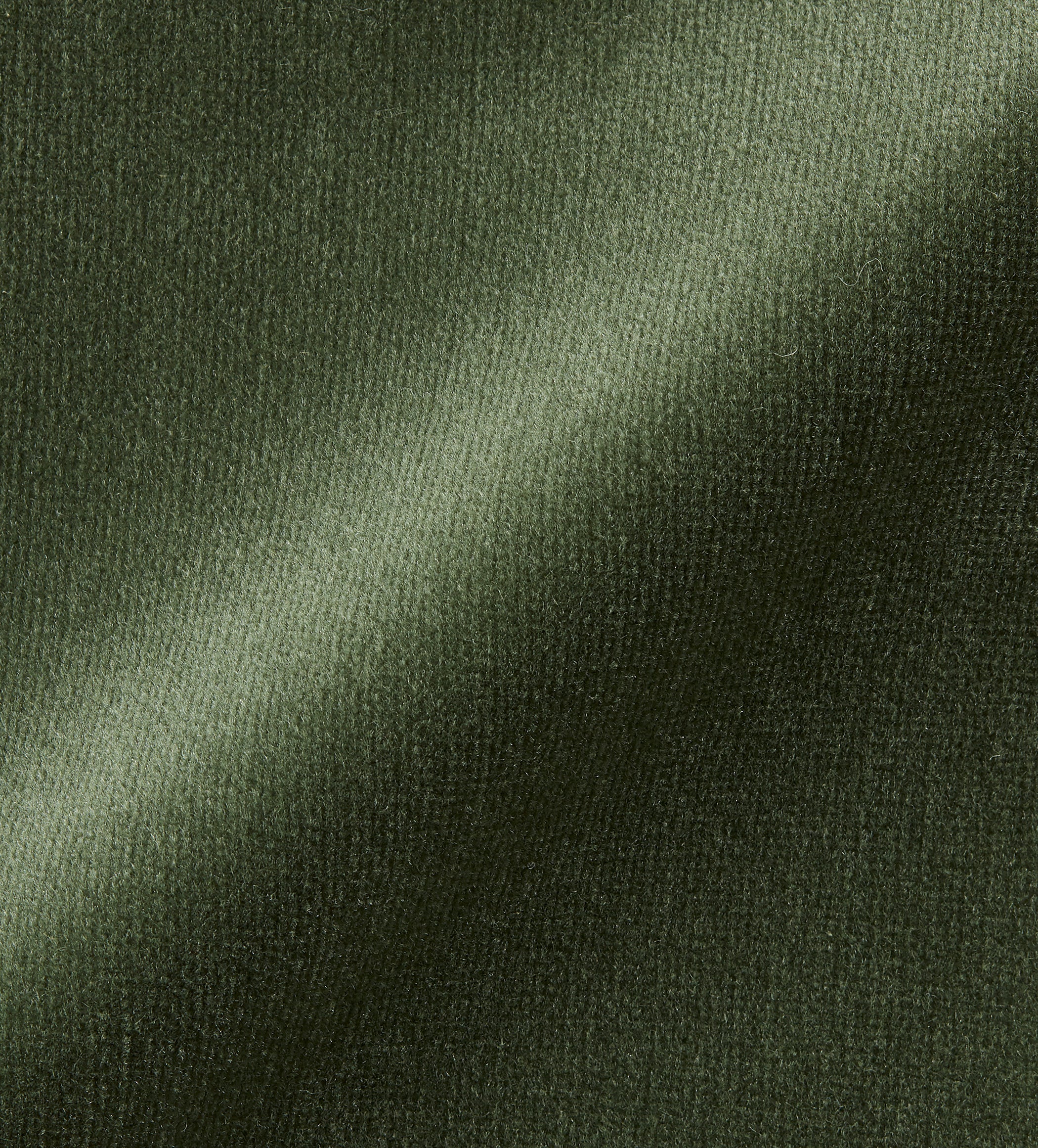 Velvet Fabric Swatch - Moss